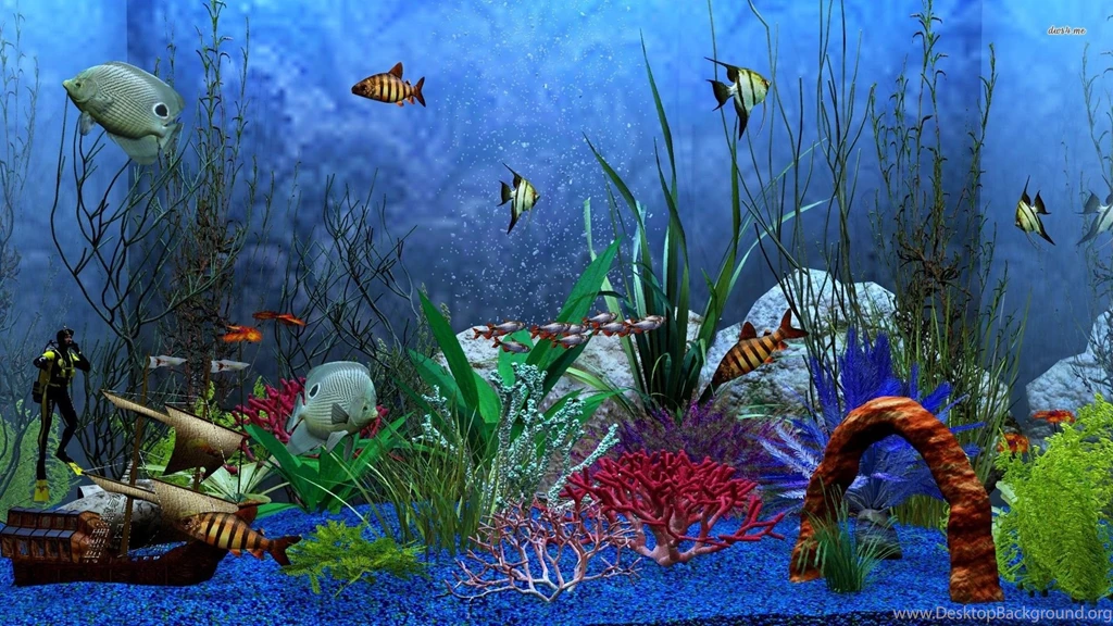 Aquarium Wallpapers   Digital Art Wallpapers