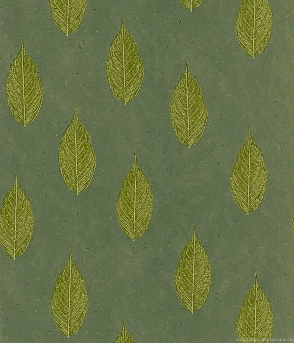 Green With Envy
