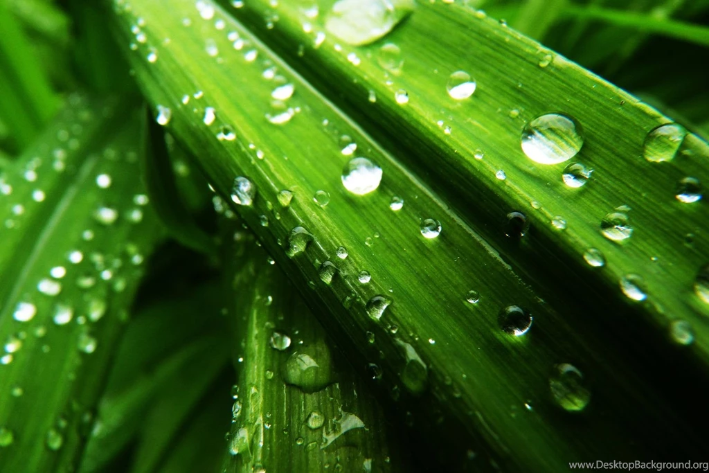 Emerald Wallpapers By Borda On DeviantArt