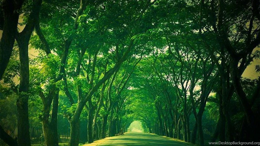 EMERALD WALLPAPER   (