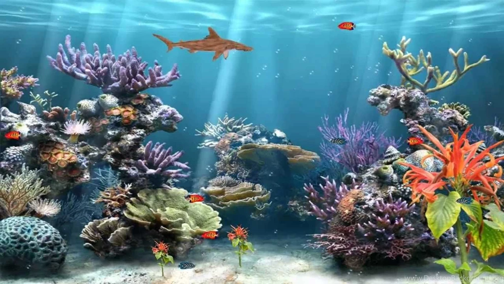 Coral Reef Aquarium Animated Wallpapers Http://www.desktopanimated ...