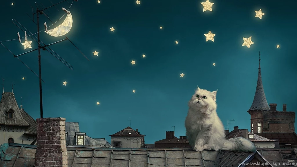 Stars And Moons Desktop Wallpapers (page 4) Pics About Space