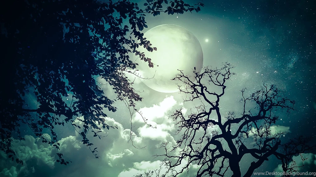 Moon Trees Clouds Dream Stars Wallpapers