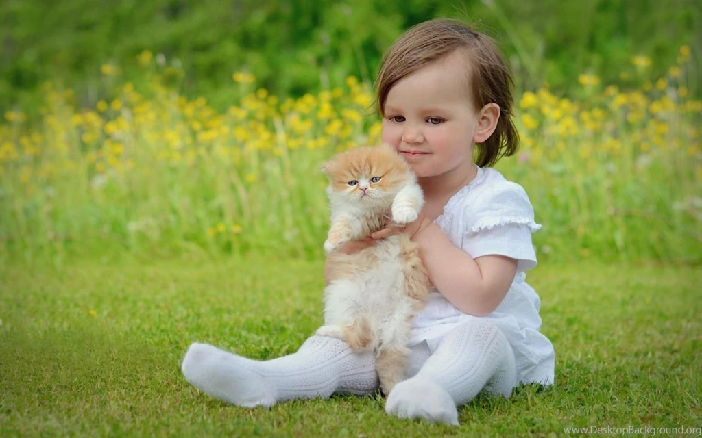 Baby Wallpaper,download Free Wallpaper,free Images