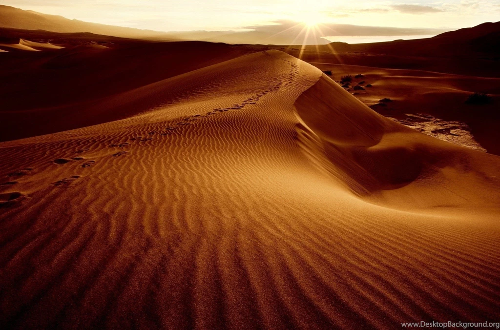 Desert Sand Dunes Dunes Sun Sky Landscape Wallpapers