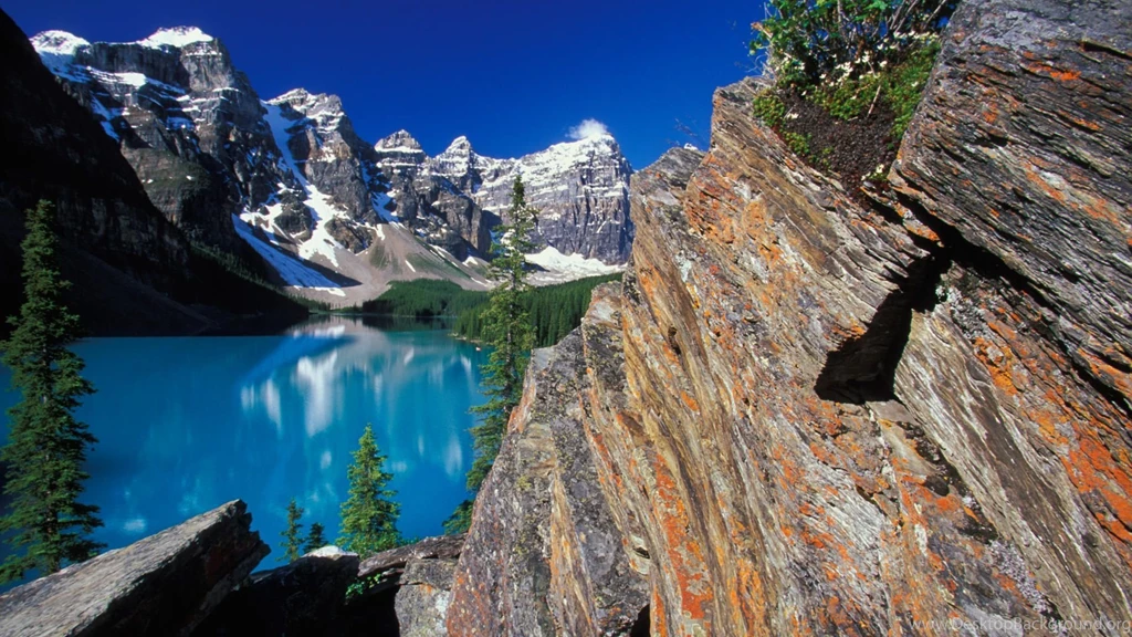 Latest New Wallpapers   Wallpapers Cave