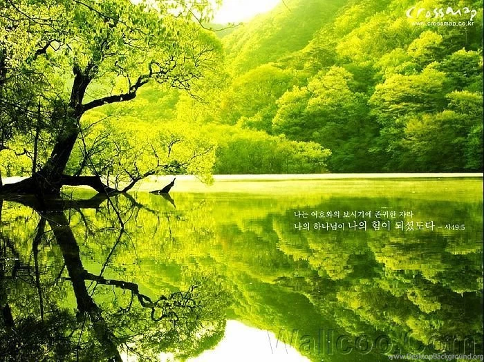 Scenery Wallpapers With Christian Proverbs 11 Wallcoo.net