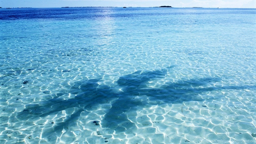 Shade, Wallpapers, Desktop, Background, Images, Nature (