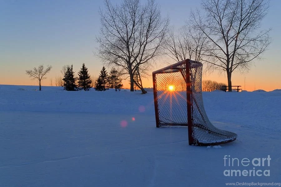 Scoring The Sunset Photograph By Darcy Michaelchuk