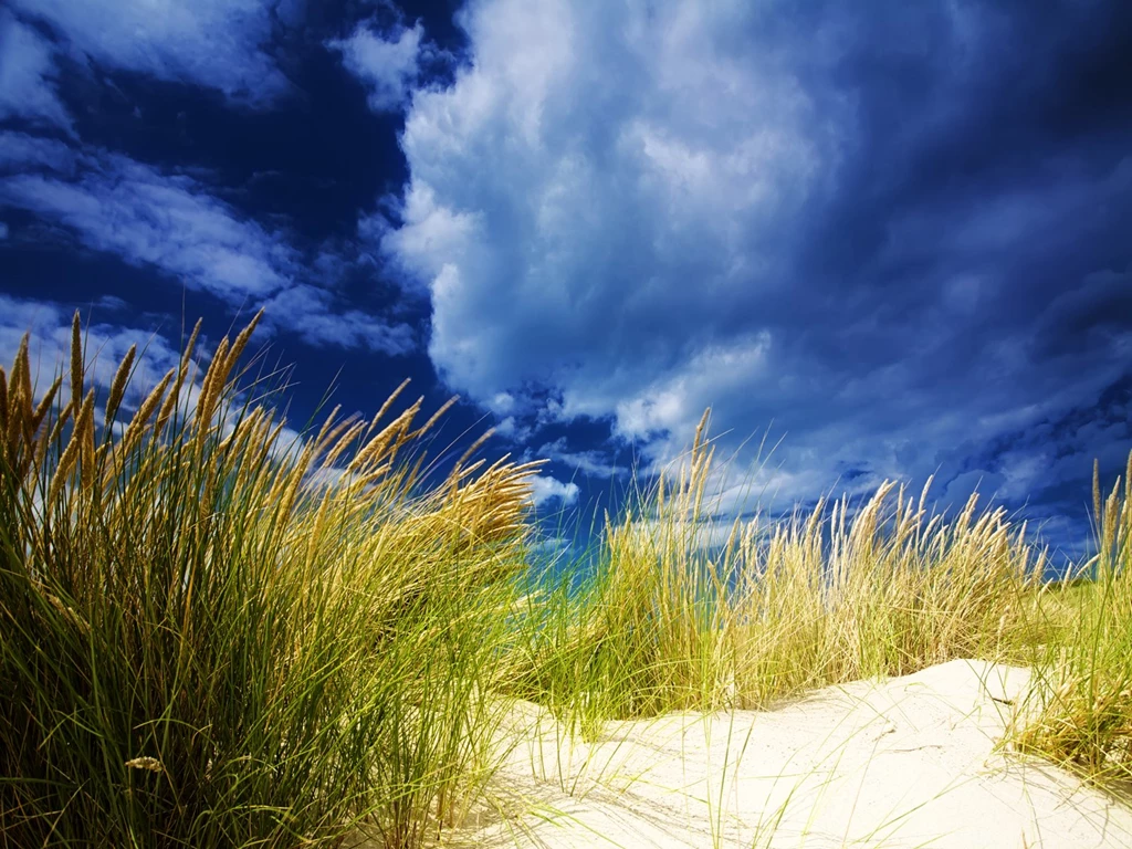 Private Prisons Found To Offer Little In Savings, Dunes Beach ...