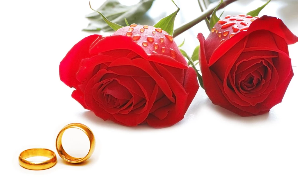 Red Rose With Wedding Ring Wallpapers