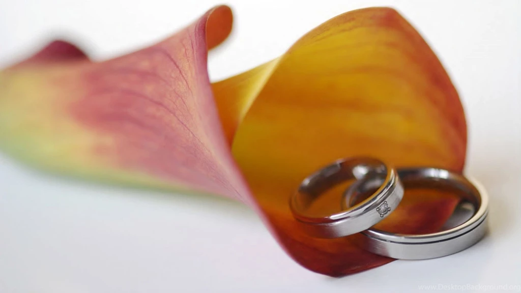 Wedding Rings In A Calla Lily Wallpapers   Free Wide HD Wallpapers