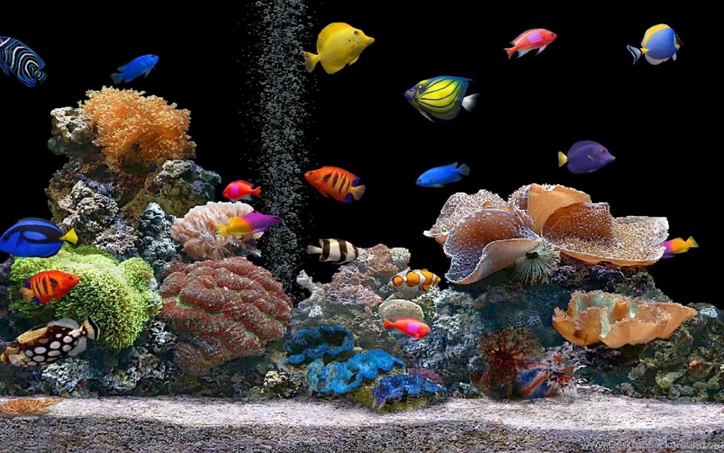 Free Download Hd Wallpapers Live For PC 3D