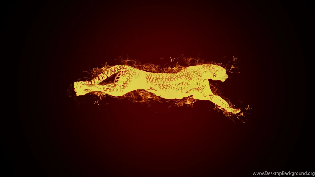 Cheetah Wallpapers By Soursensationz On DeviantArt
