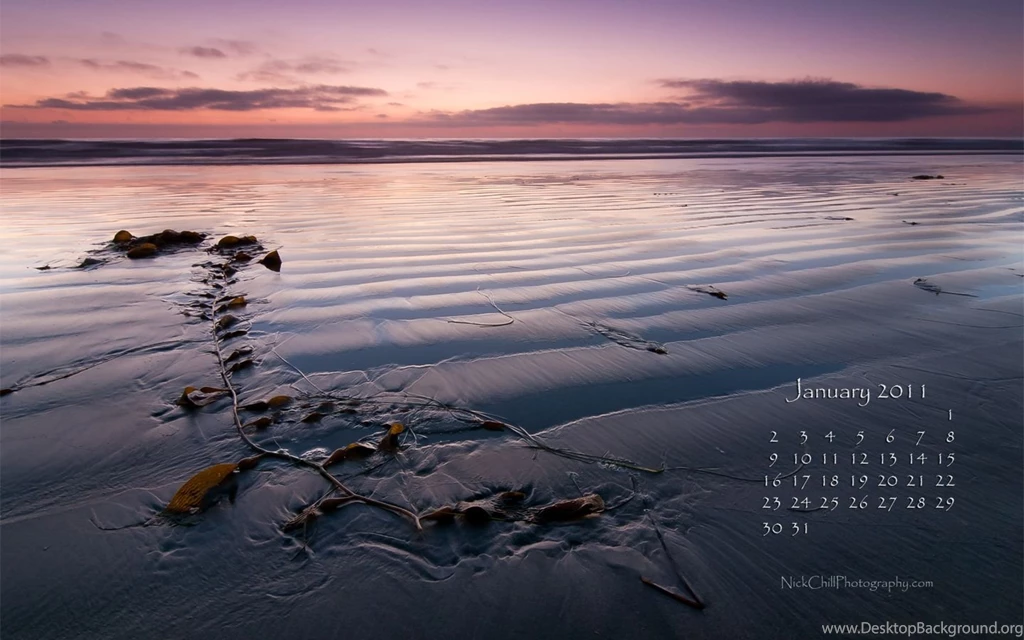 January 2011 FREE Desktop Wallpapers Calendar