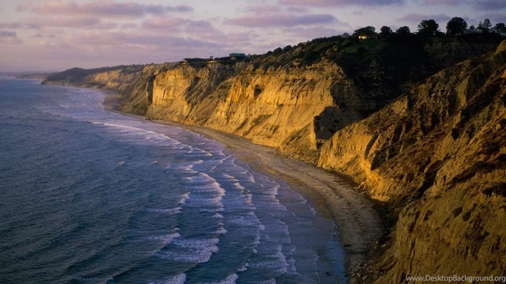 The California Clinic™