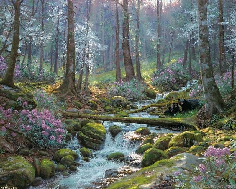 Spring Forest Wallpapers