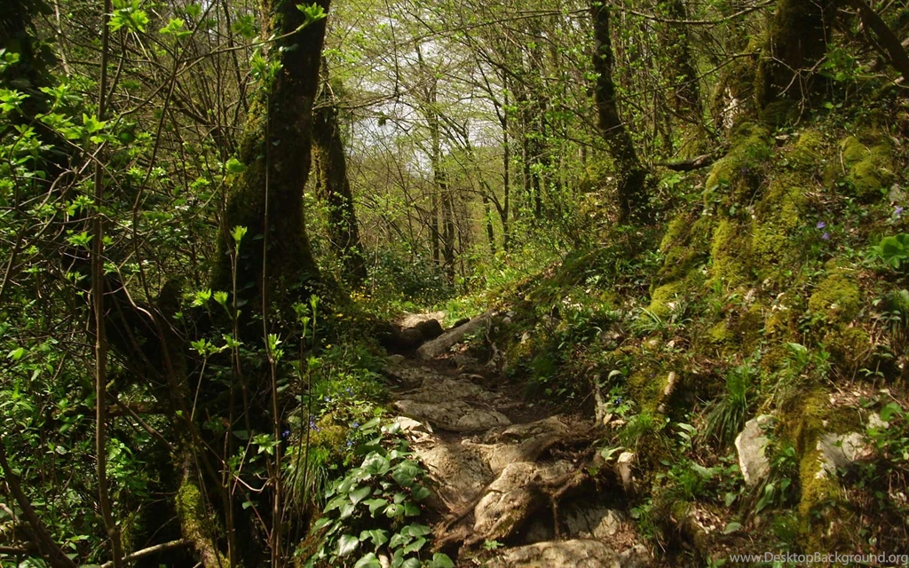 Free Trail Wallpapers