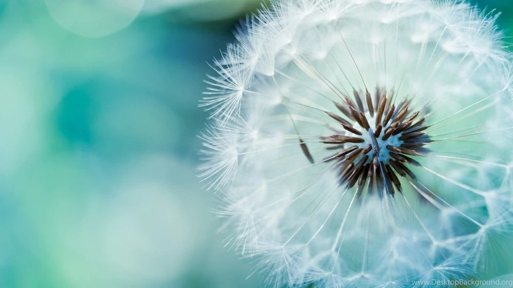 Cool Desktop S Wallpapers