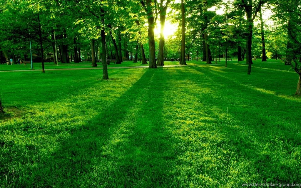 IOS 7 Green Forest Theme   Android Apps & Games On Brothersoft.com