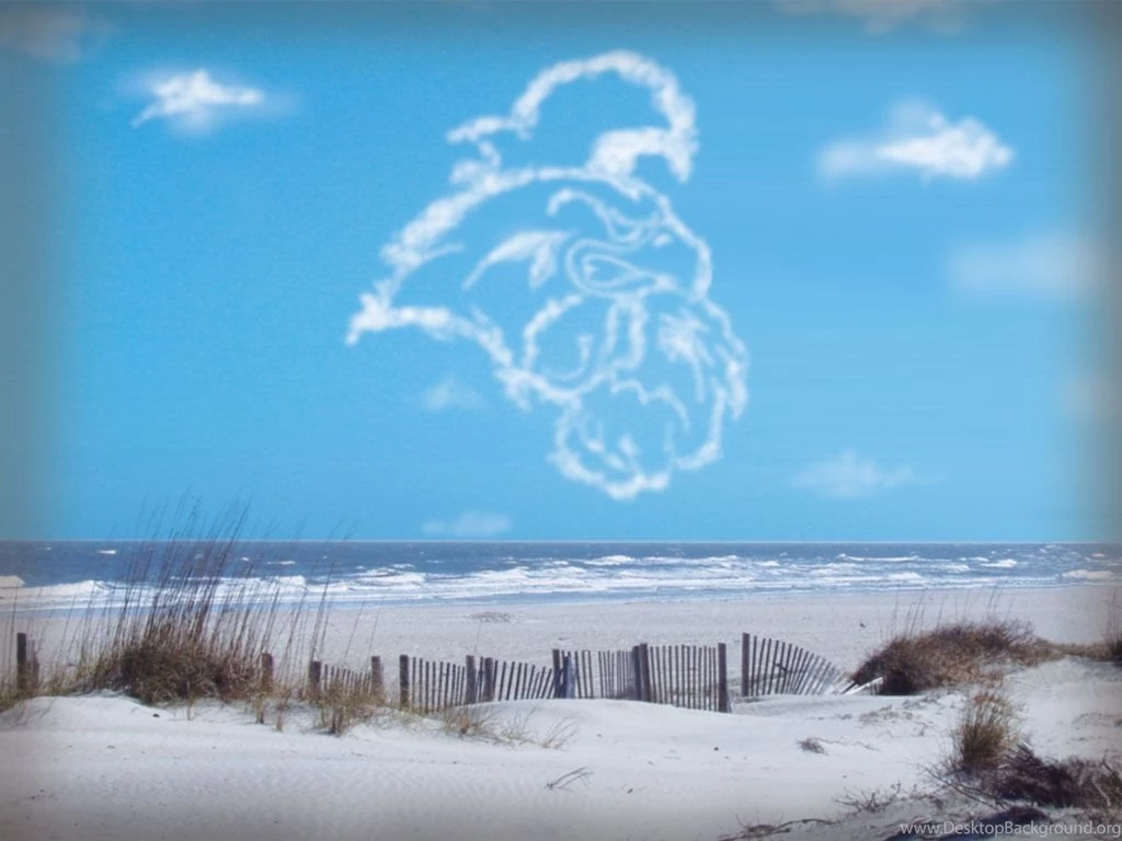 Coastal Carolina University Coastal Wallpapers Downloads
