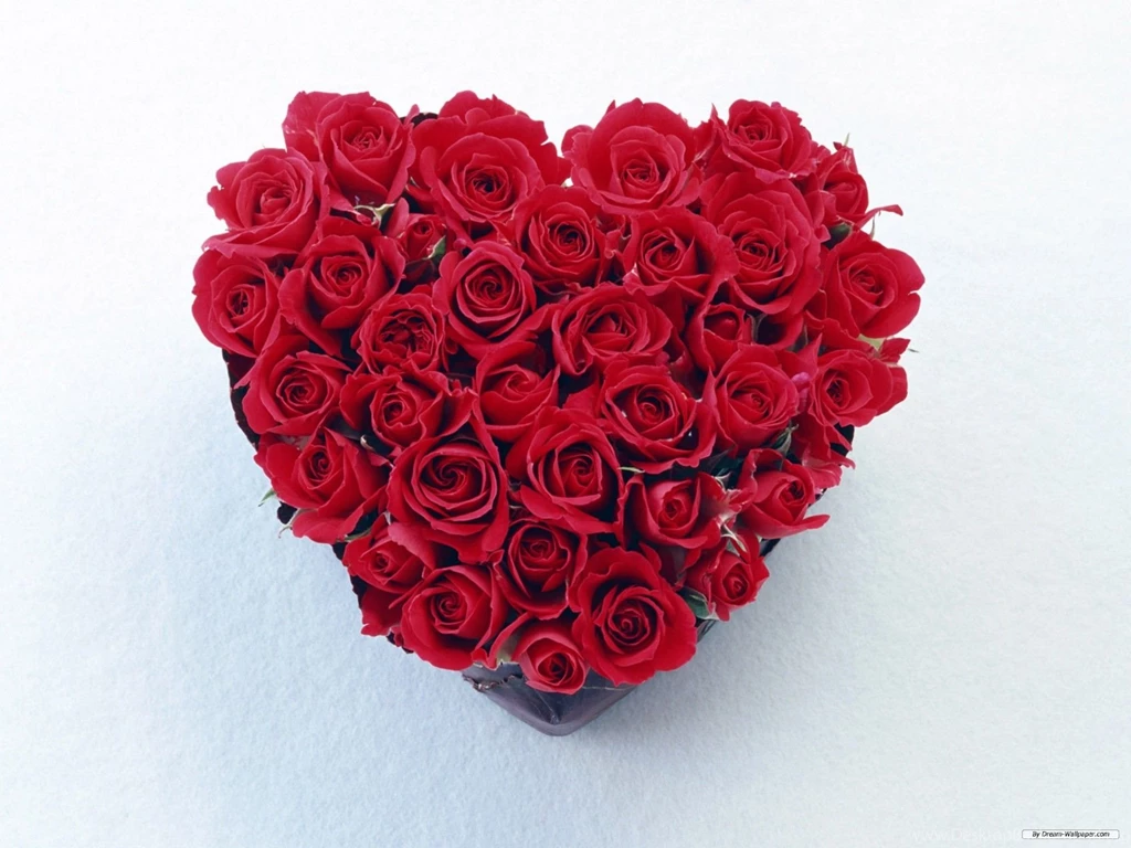 Valentines Day Pictures Free Wallpapers