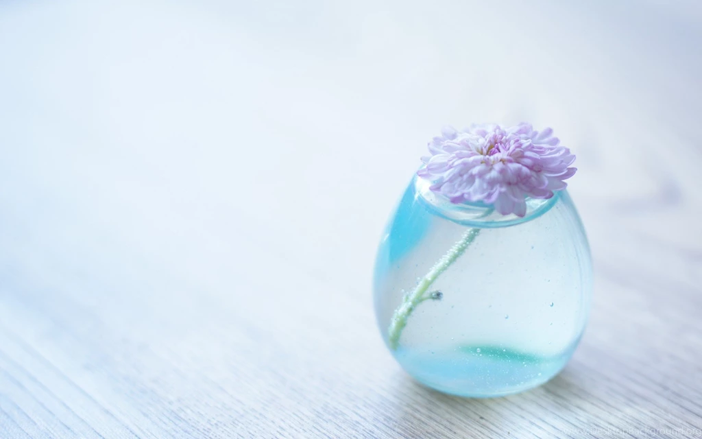 Colourful Flowers Wallpapers Download