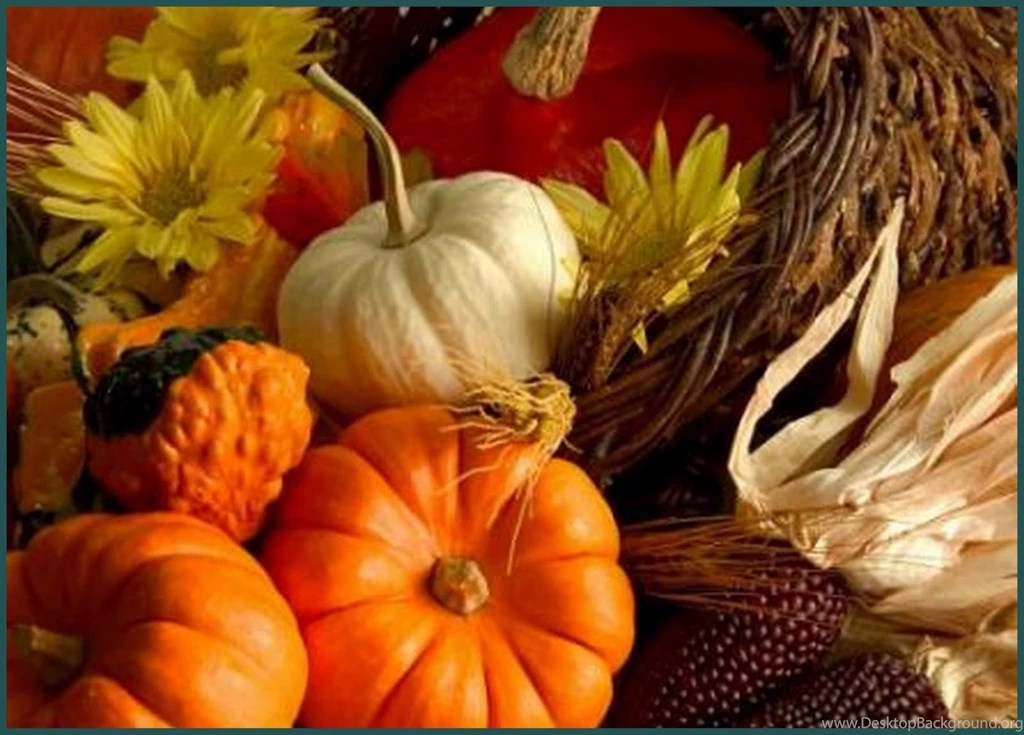 All Time Best Thanksgiving Quotes. QuotesGram