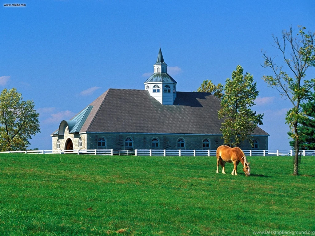 Known Places: Donamire Horse Farm, Lexington, Kentucky, Desktop ...