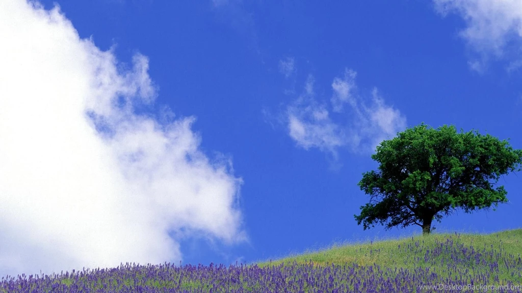 Lexington, Kentucky, Meadow, Spring, Wallpapers, Freewallpapers ...