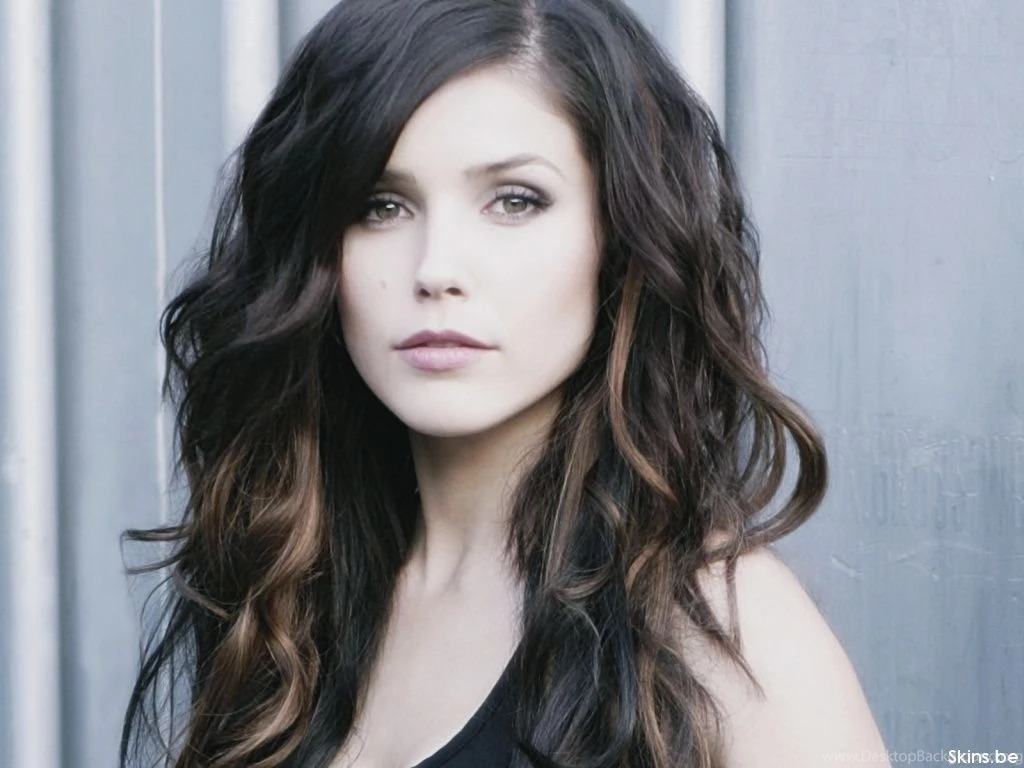Sophia Bush Wallpapers   Sophia Bush Wallpapers (7849070)   Fanpop