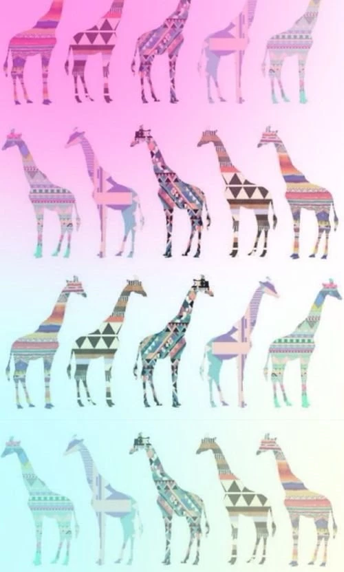 Giraffe Wallpapers