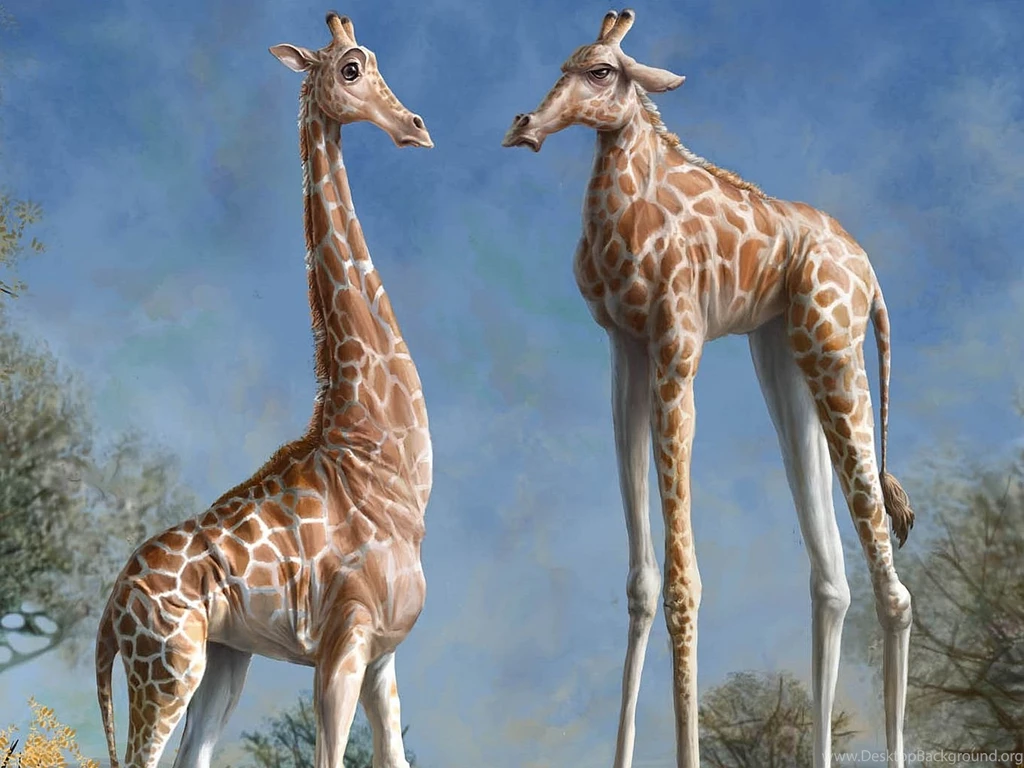 Giraffe Computer Wallpapers, Desktop Backgrounds
