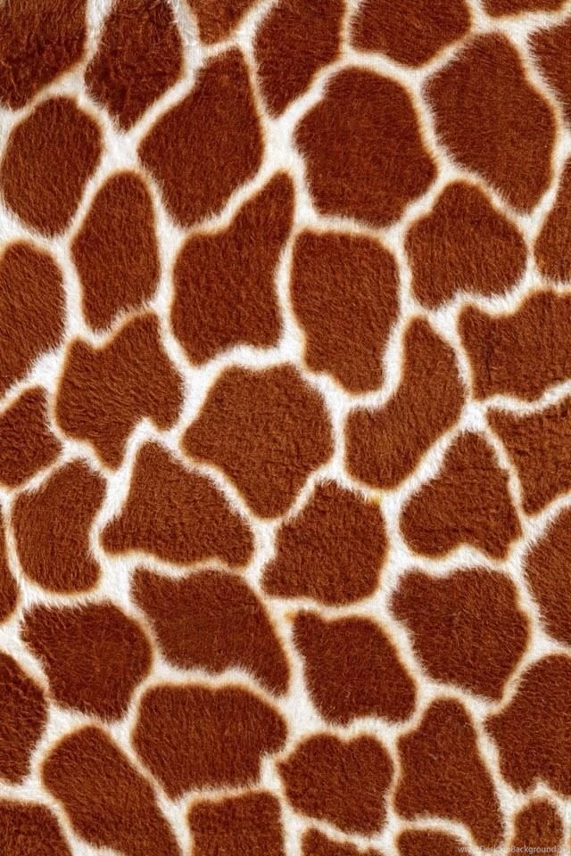 Twitter Headers On Pinterest