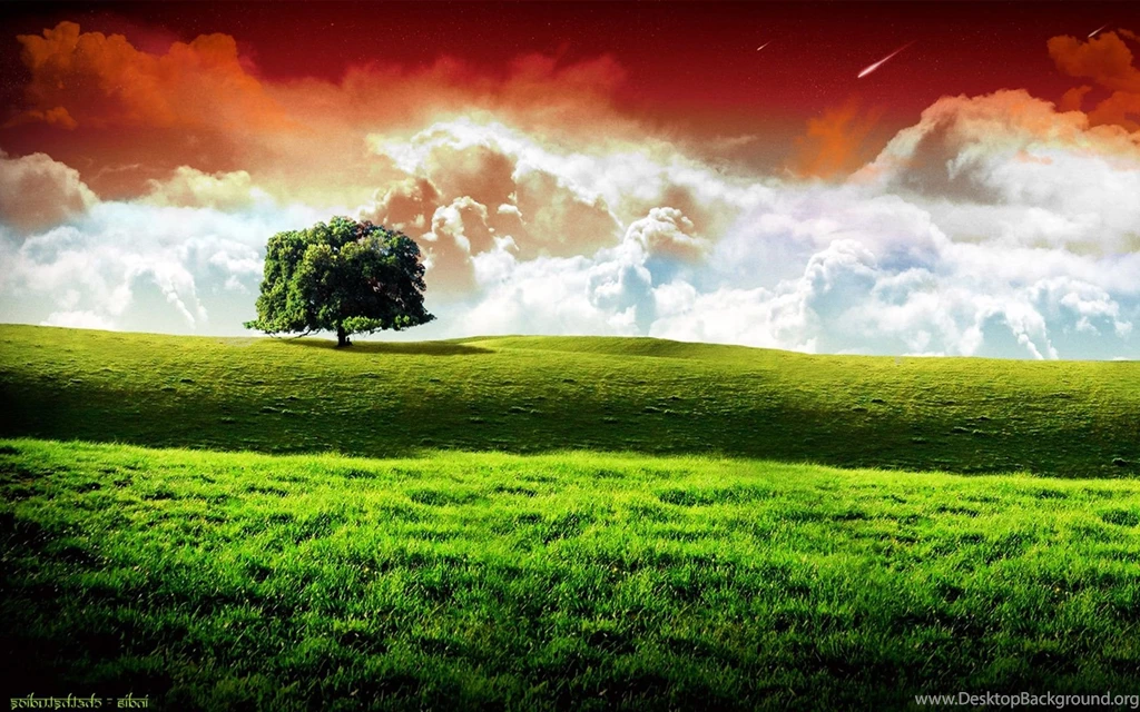 Nature hd wide screen wallpapers