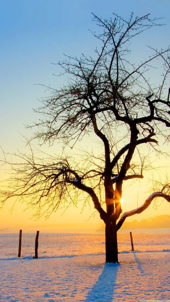 Nature And Tree Lock Screen 720x1280 Samsung Galaxy Note 2 ...