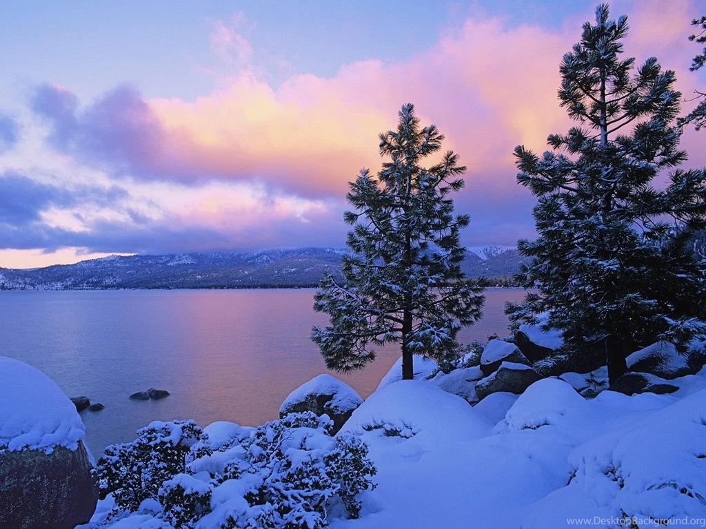 Blue Winter HD Wallpaper, Blue Winter Background, New Wallpapers