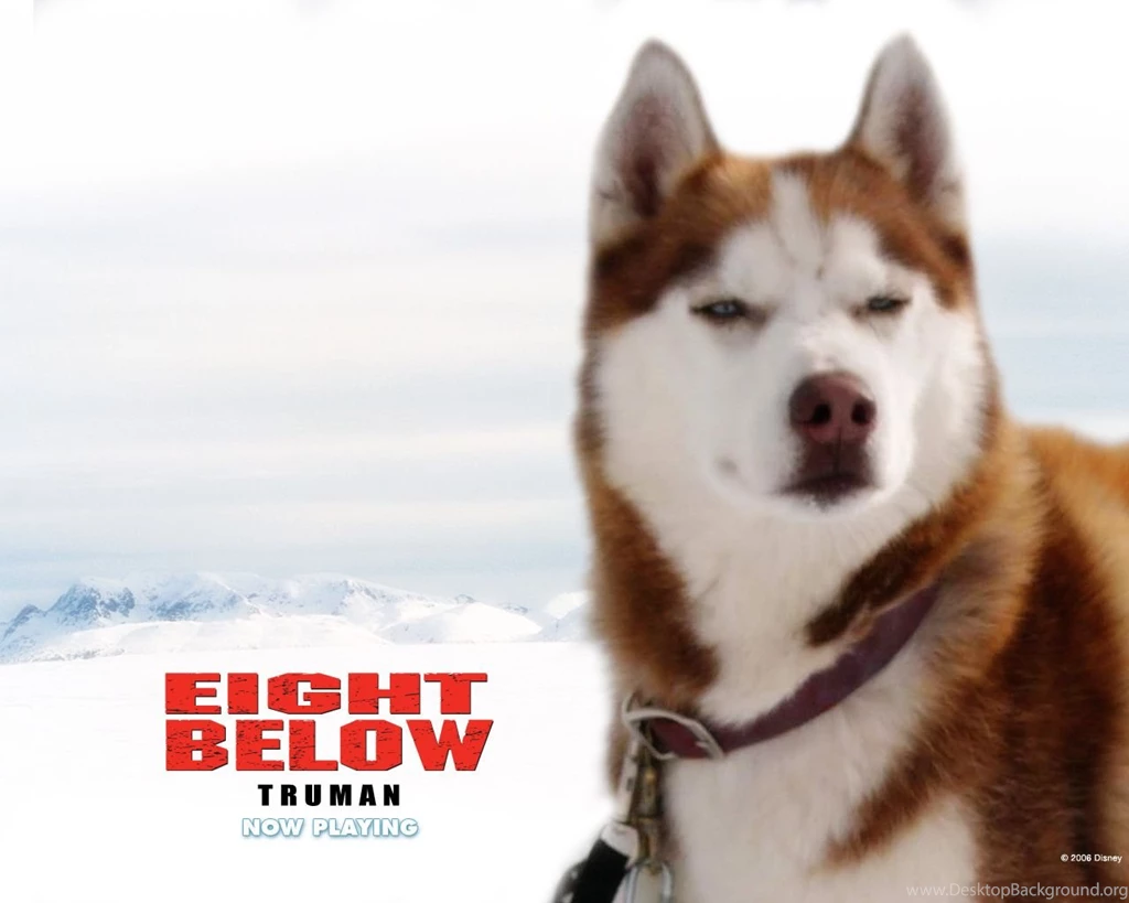Eight Below