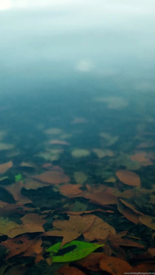 Best iPhone 5 Wallpapers Along High Resolution