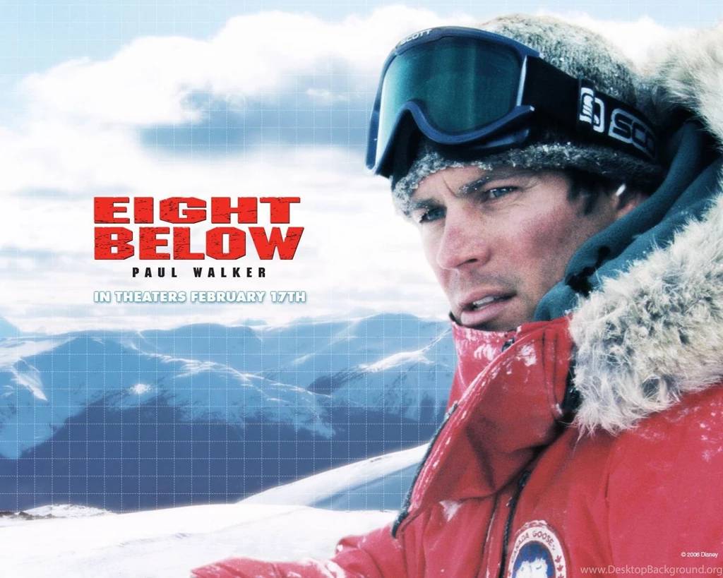 Paul Walker   Paul Walker In Eight Below Wallpapers 1 800x600