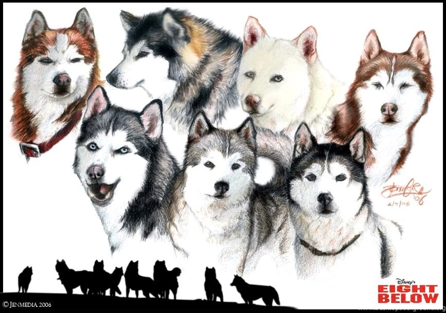 The Cast Of Eight Below By Lillidan86 On DeviantArt