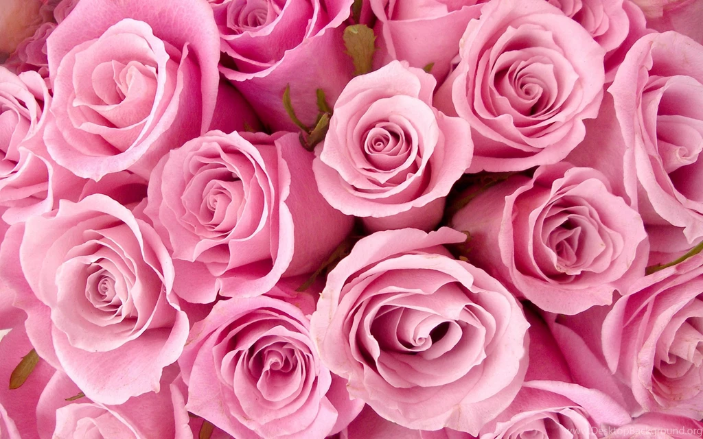 Download These 45 Pink Wallpapers Every Engineer Girl Will Love