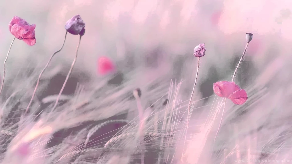 3 HOURS Best Relaxing Music 'Romantic Piano" Backgrounds Music For ...