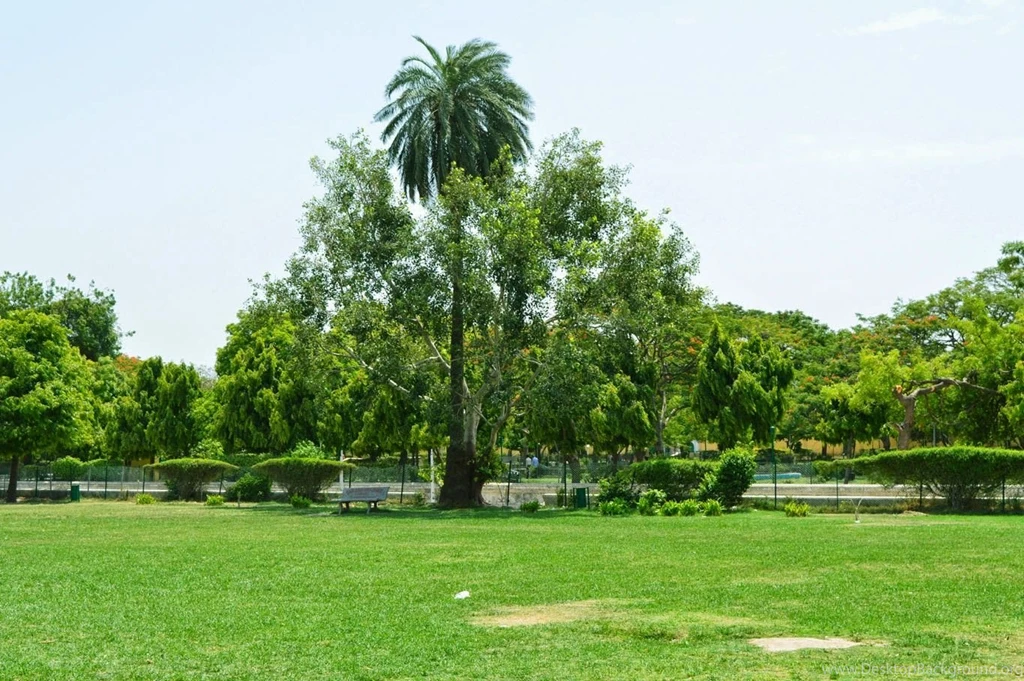 Sanjay Photo World: Garden Backgrounds For Photoshop