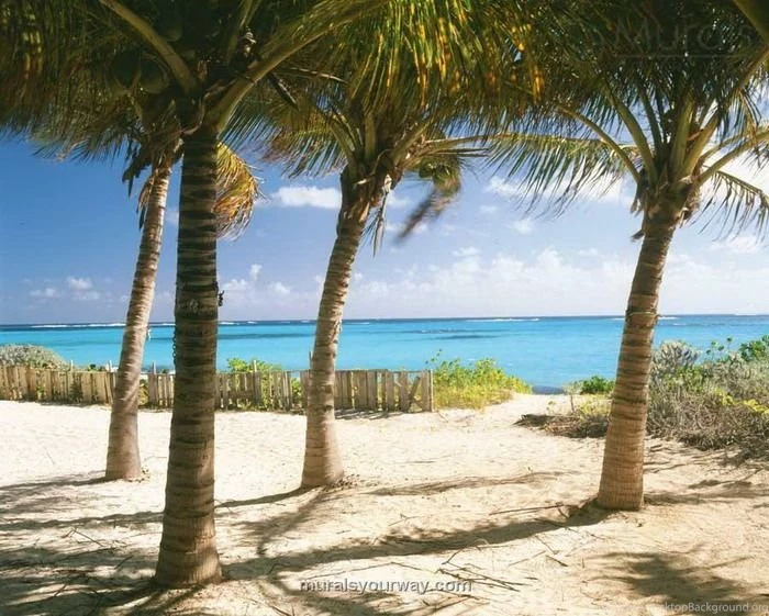 Green House Wall Mural Wallpapers Mural Ideas 15329