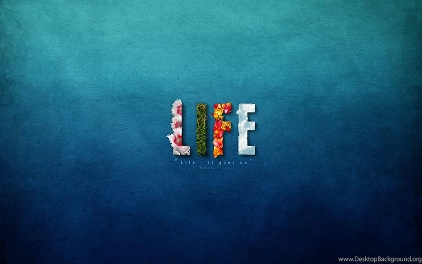 Left Brain Right Brain 35 Inspirational Typography HD Wallpapers ...