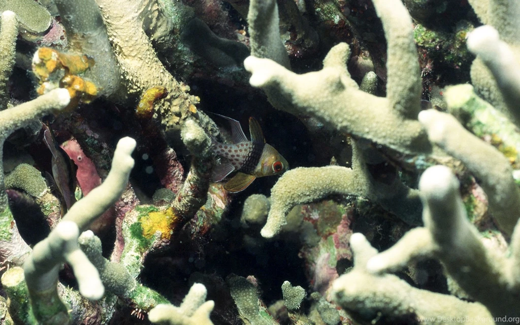 Sea Wallpapers City Roslindale Desktop Background