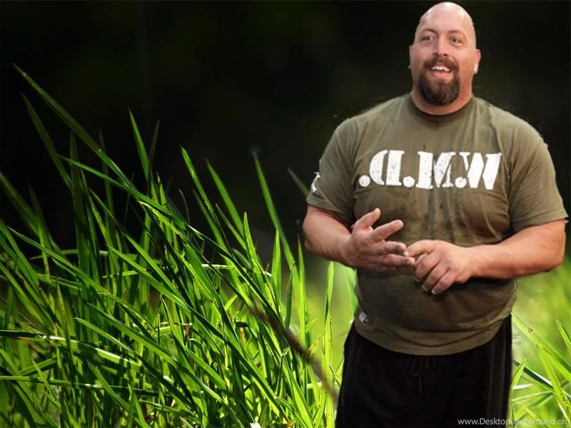 Big Show (2013) HD Wallpapers