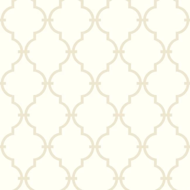 Ab2042 black and white modern trellis wallpaper by york.jpg