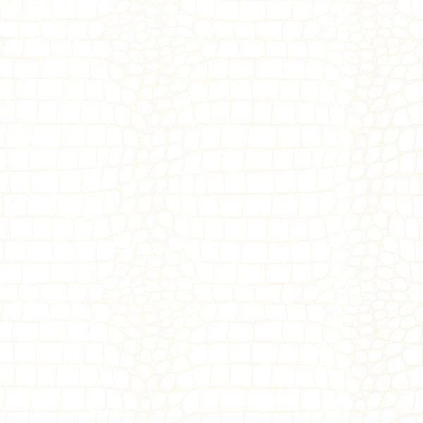 Modern White Wallpapers